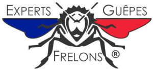 Association Experts Guêpes Frelons