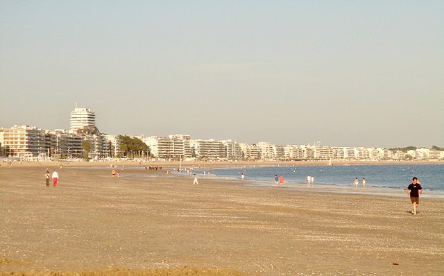 Désinsectisation et dératisation La Baule