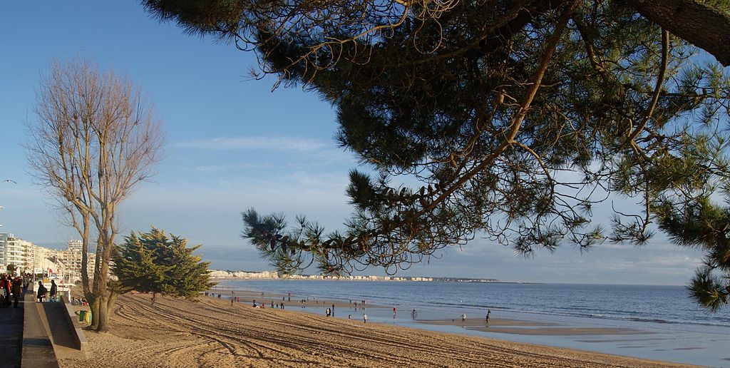 La Baule Dératisation et désinsectisation